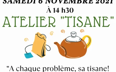 06-11-2021 Atelier Tisane – Biocoop Croix Daurade Toulouse