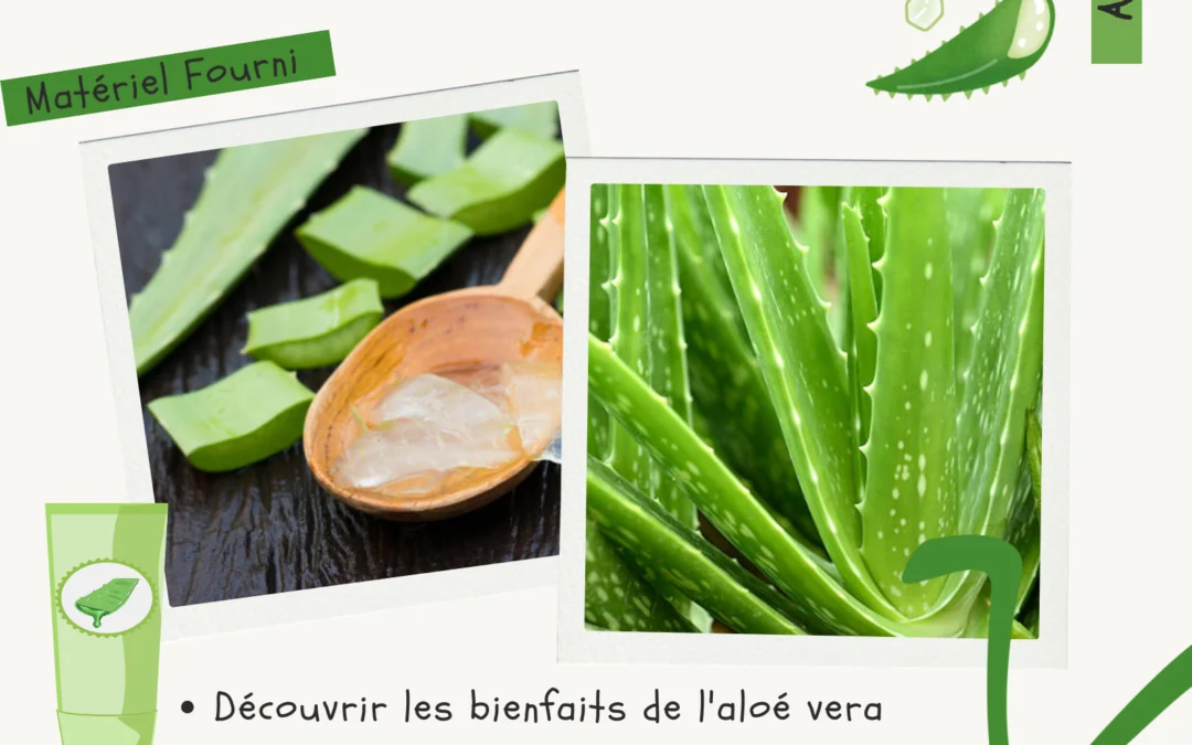 Atelier les bienfaits de l'aloé vera